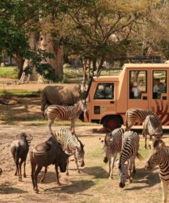 Bali Safari Park Ticket