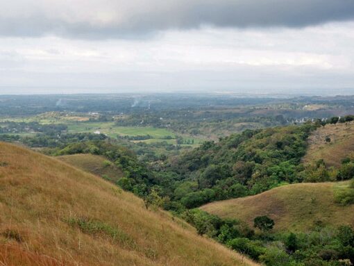 Sumba Island : Lendongara Hill
