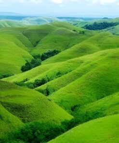 Sumba Island : Lendongara Hill