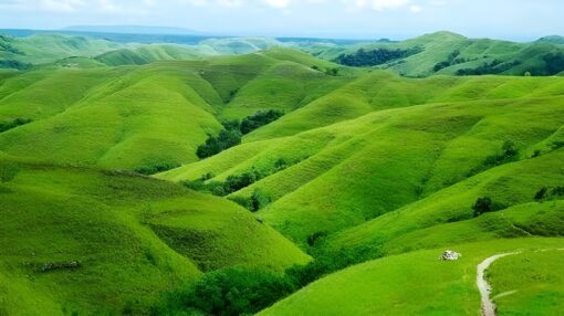 Sumba Island : Lendongara Hill