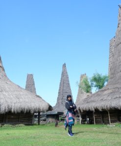 Sumba Island : Rantenggaro Traditional Village