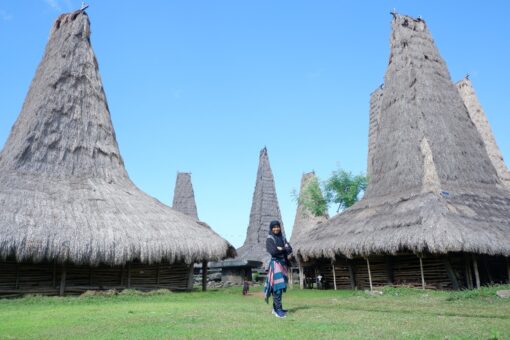 Sumba Island : Rantenggaro Traditional Village