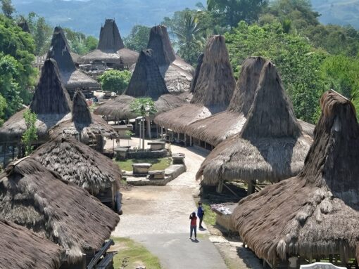 Sumba Island : Parai Ijing Village